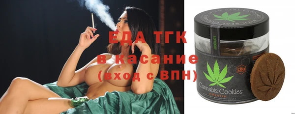 стафф Арсеньев