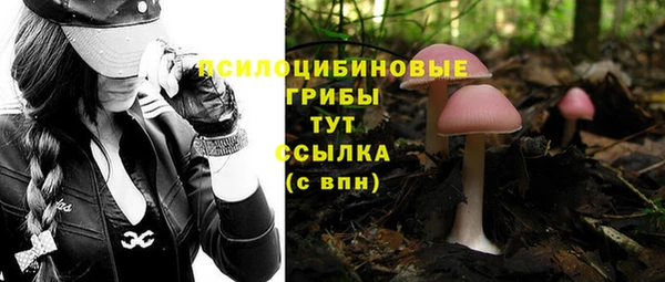 стафф Арсеньев